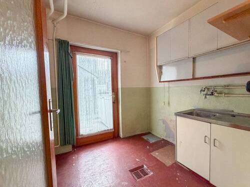 Koe RMH am Waldrand-22 - 