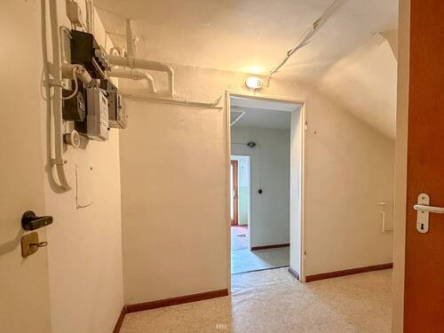 Koe RMH am Waldrand-17 - 