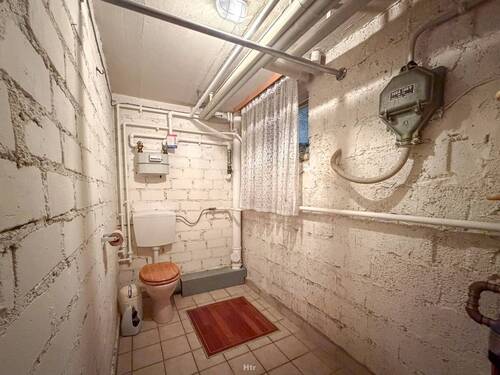 Koe RMH am Waldrand-18 - 