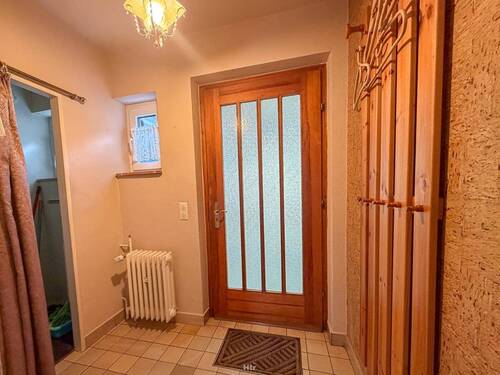 Koe RMH am Waldrand-05 - 