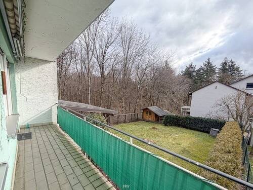 Koe RMH am Waldrand-09 - 