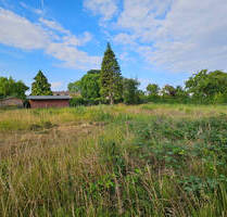 Baugrundstück nur 300 Meter vom Strand entfernt - Kühlungsborn