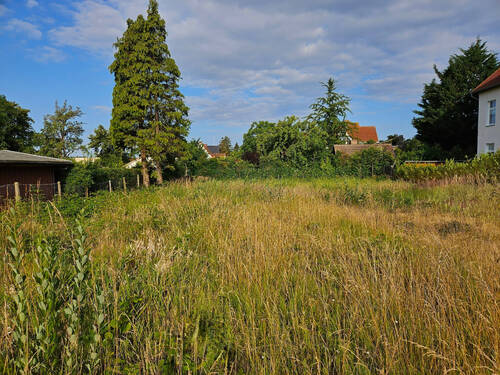Blick nach West - Grundstück zum Kaufen in Kühlungsborn