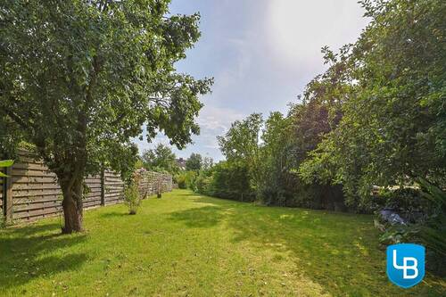 Gepflegter Garten - 