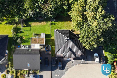 Vogelperspektive - 