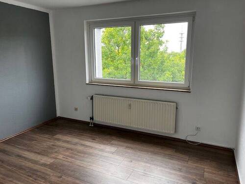 Bild8 - 