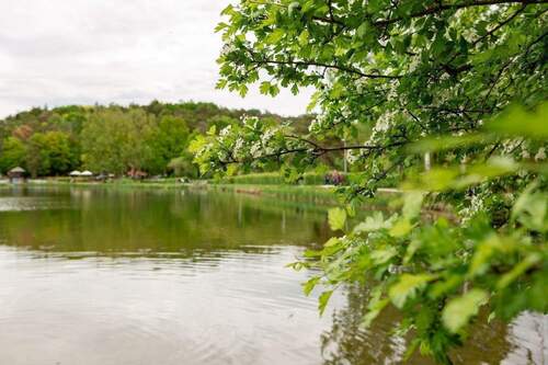 Umgebung_Bischofsweiherstr (6).jpg - 