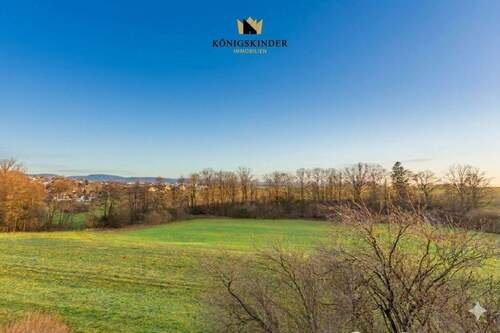 Aussicht vom Balkon EG - Mehrfamilienhaus, Wohnhaus mit 447,00 m&sup2; in Wangen zum Kaufen
