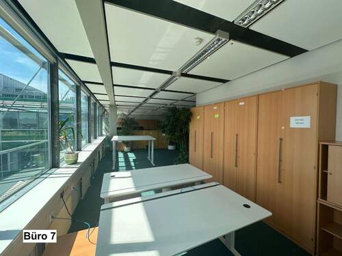Büro 7 (Schreibtischplätze) - Büro zur Miete in Leipzig