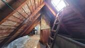 Dachspitz - 