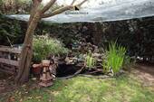 ...neben dem Gartenteich. - 