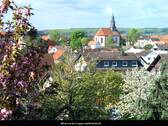 Blick - 