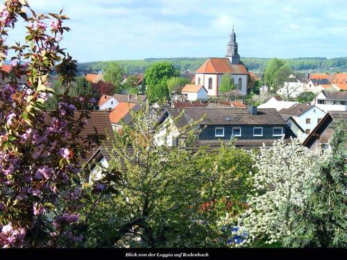 Blick - 