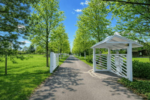 Einfahrt - Mehrfamilienhaus, Wohnhaus mit 417,00 m&sup2; in Tröbitz zum Kaufen