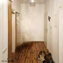 Flur - 