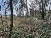 Baugrundstück - Grundstück zum Kaufen in Rückersdorf