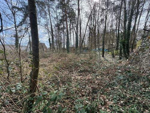 Baugrundstück - Grundstück zum Kaufen in Rückersdorf