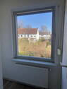 Fenster - 