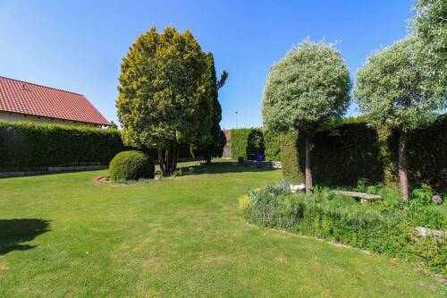 Garten (1) - 