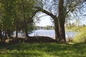 See - 
