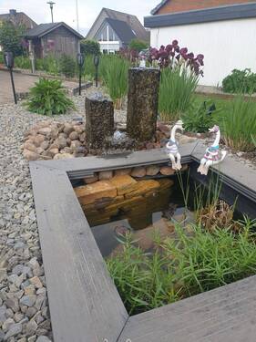 Sommerimpressionen 1 - 