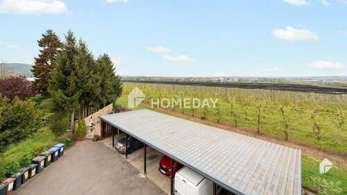 Ausblick - 