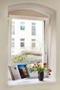 Details Fenster - 