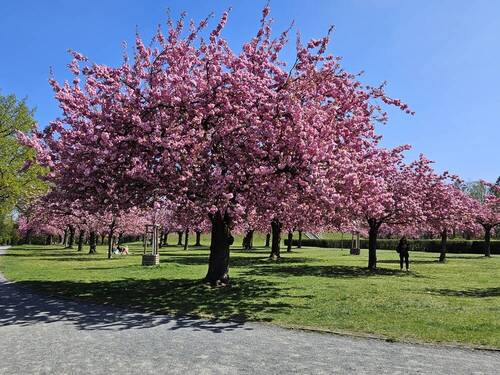 Im Lilienthalpark - Etagenwohnung mit 72,50 m&sup2; in Berlin / Lichterfelde zum Kaufen