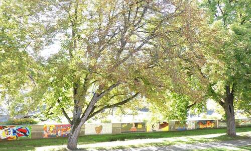 Blick in die Natur - 
