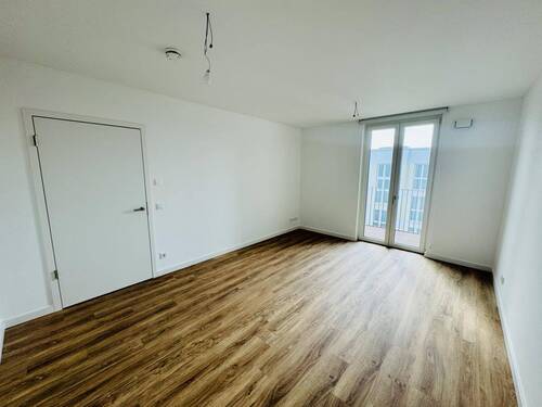Zimmer - 