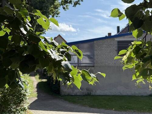Seitenansicht - 