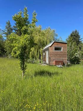 Ansicht - Mehrfamilienhaus, Wohnhaus mit 16,00 m&sup2; in Weimar zum Kaufen