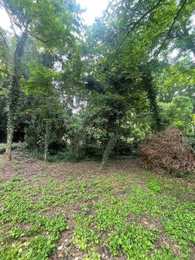 Blick in den Garten - 