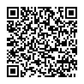 QR-Code - 