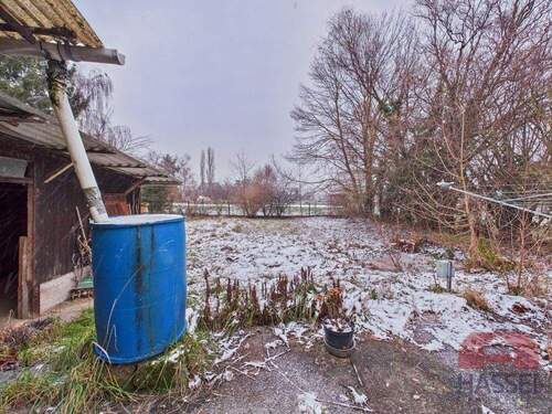 Vorfreude auf den Frühling - 