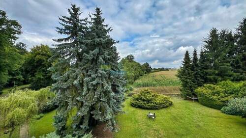 Blick vom Balkon in den Garten - 