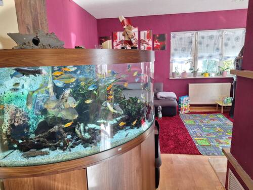 Wohnzimmer EG - 6 Zimmer Einfamilienhaus in Gera