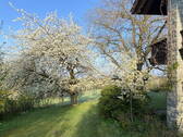 Garten Frühjahr - 