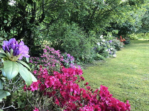 Garten Frühjahr - 