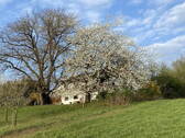 Bild 3 - 8 Zimmer Einfamilienhaus in Fürstenstein