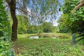 Idyllischer Teich - 