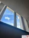 Fenster - 