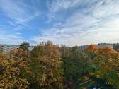 Balkon (Ausblick) - 