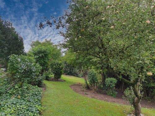 Garten 2. Bild - 