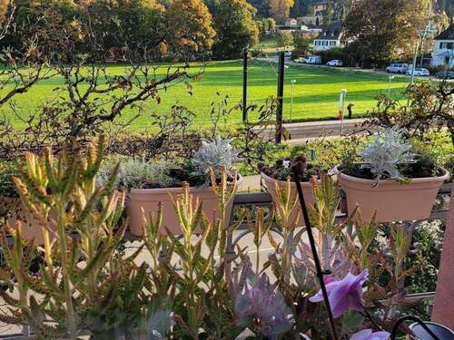 Wiehre-Günterstal: Für 4 sich einige Käufer, 4x Gr - 1 Zimmer Mehrfamilienhaus, Wohnhaus zum Kaufen in Freiburg im Breisgau
