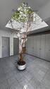 Diele EG - 
