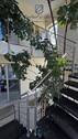 Treppe zum OG - 