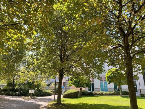 Ihre Wohnumgebung! - 2 Zimmer Etagenwohnung zum Kaufen in Mainz