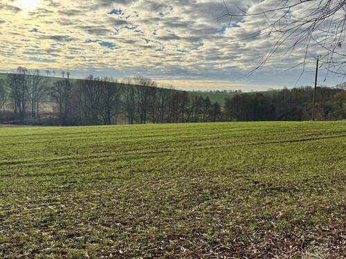 verpachtetes Grundstück - 