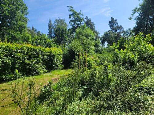 Garten - 